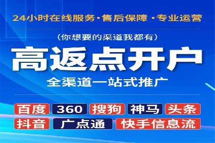 SEM投放策略优化案例分析